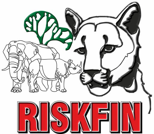 Riskfin