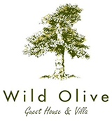 Wild Olive Guest House