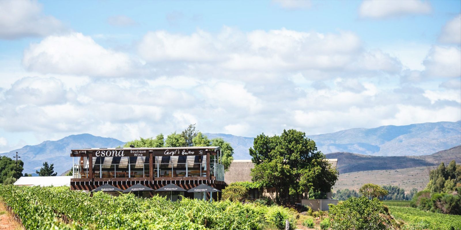 Esona Boutique Wine Estate