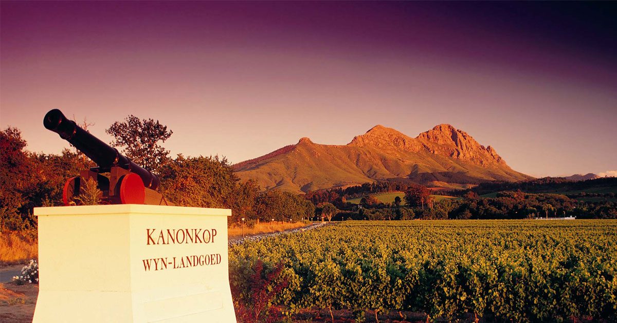 Kanonkop Wynlandgoed