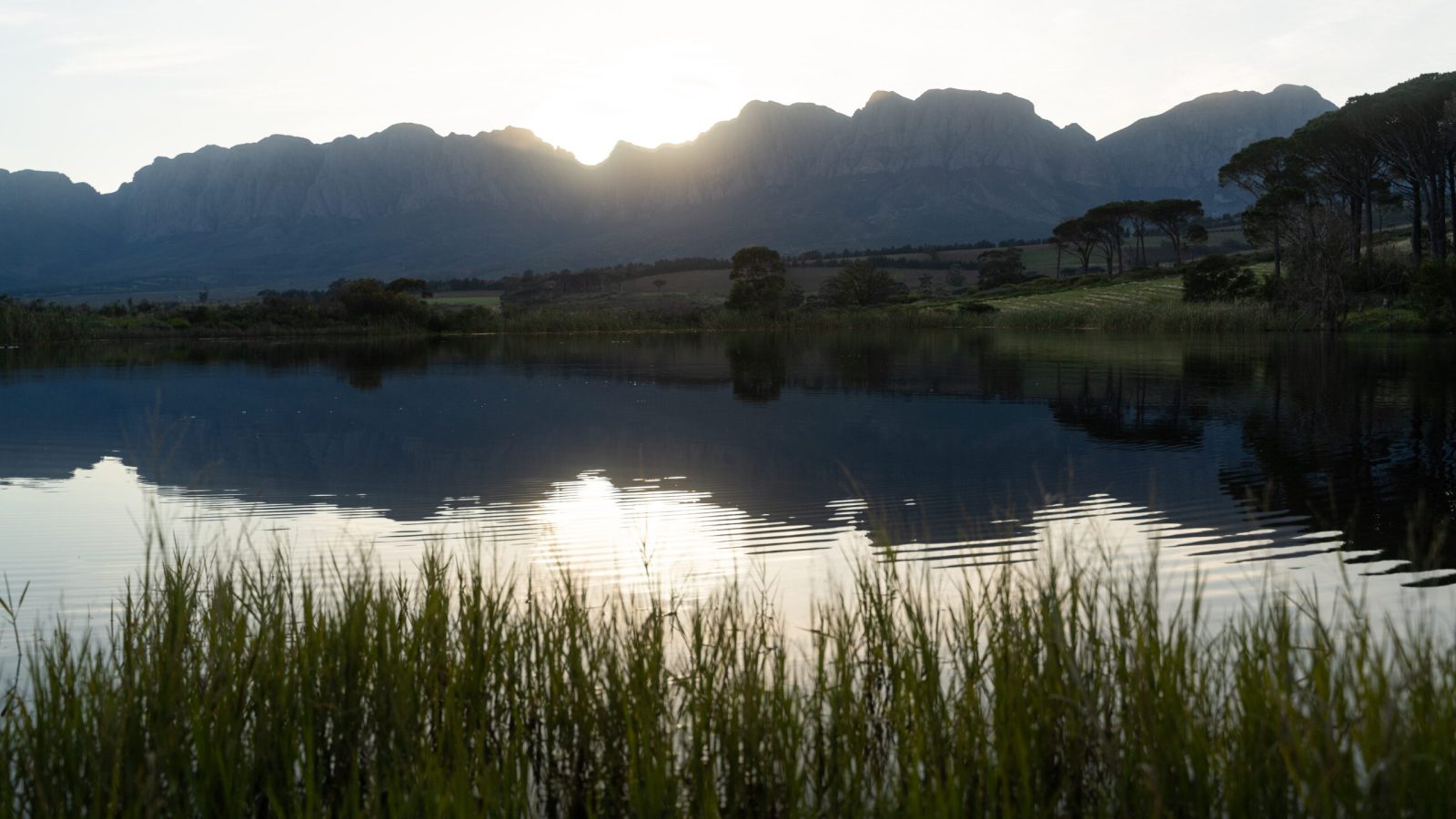 Morgenster (1711) (Pty) Ltd