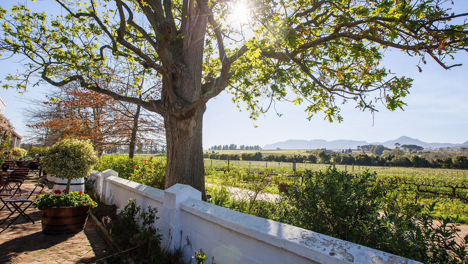 Ken Forrester Wines