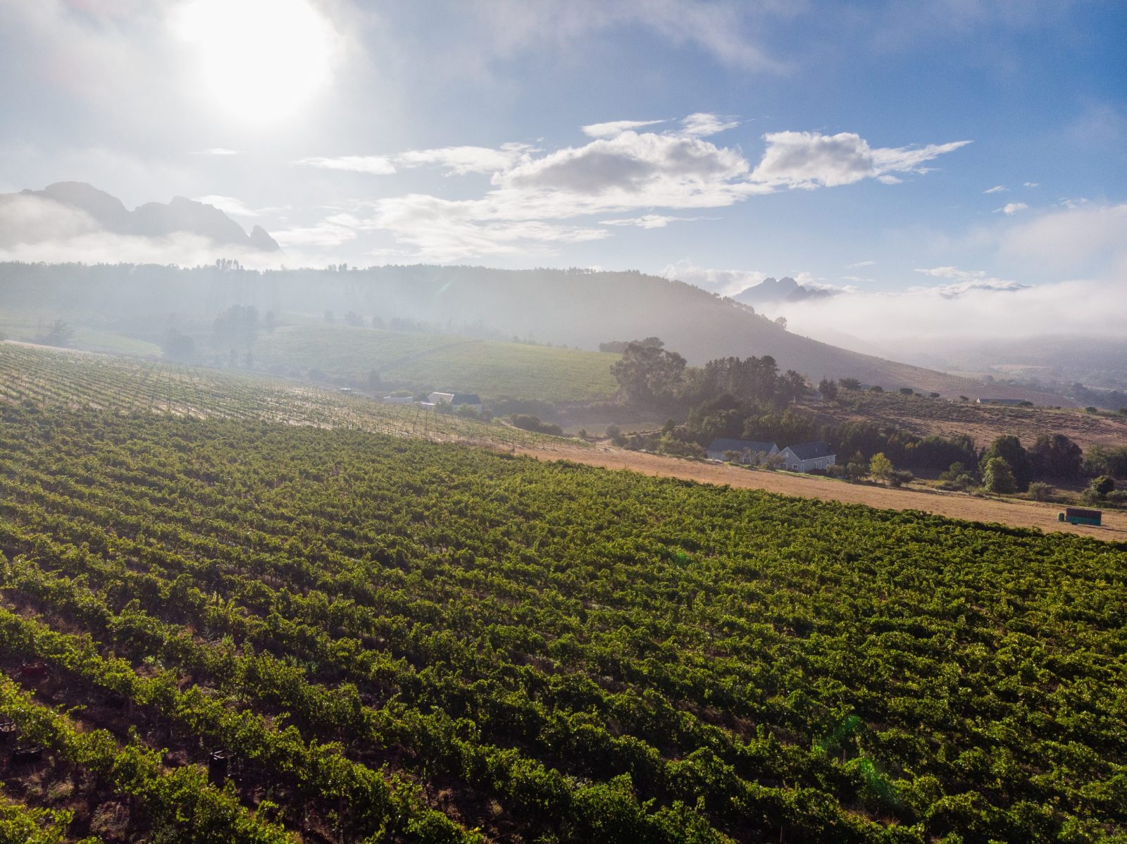 Remhoogte Wine Estate