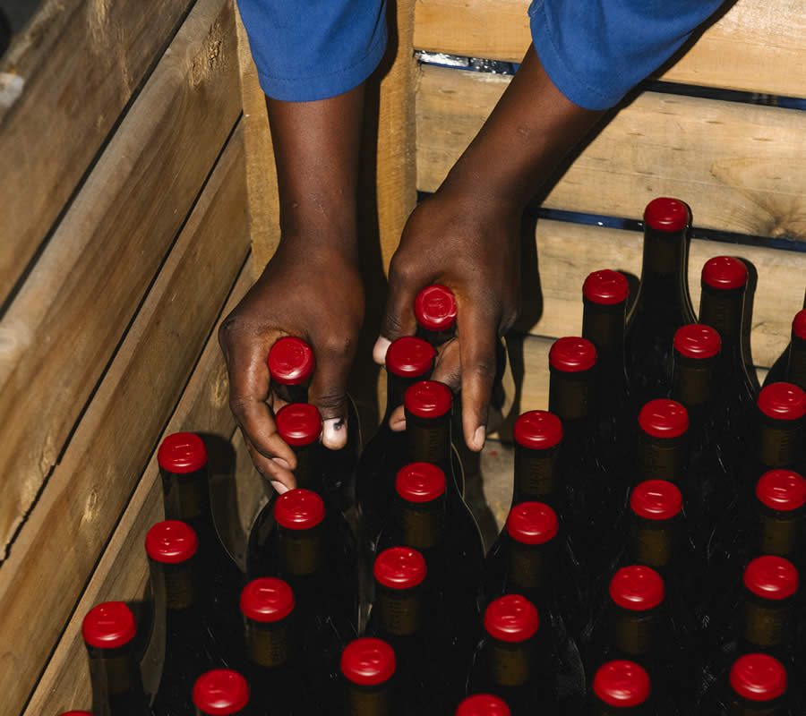 Reyneke Wines
