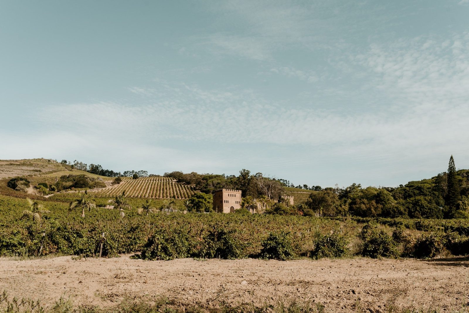 Fort Simon Wine Estate