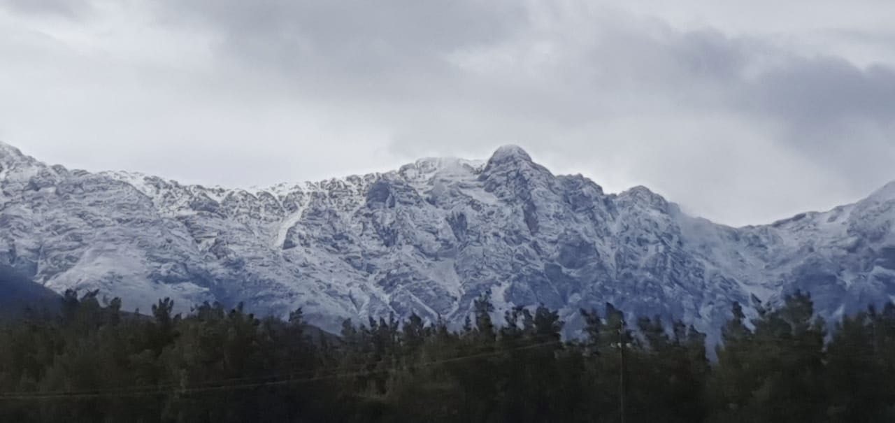 Mountain Ridge Wines