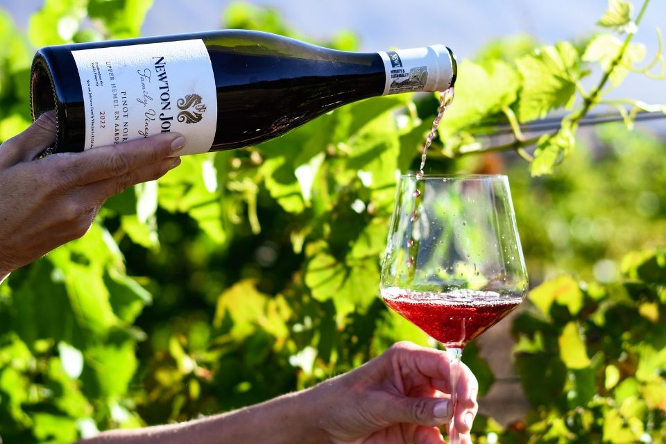 Newton Johnson Wines (Pty) Ltd:Office