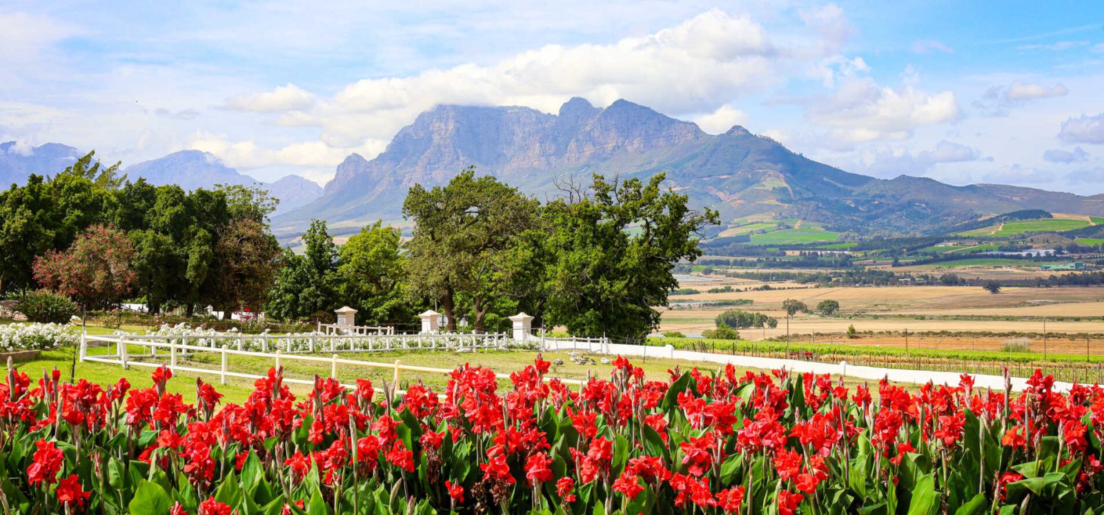 Landskroon Wines