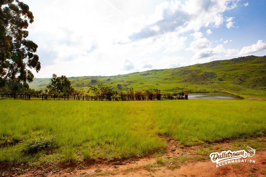 DULLSTROOM