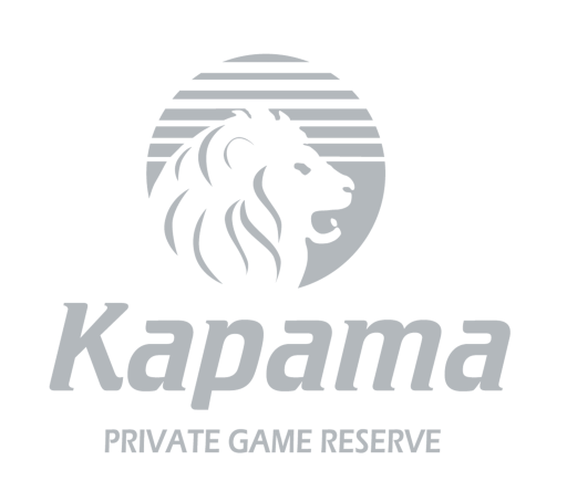 Kapama River Lodge