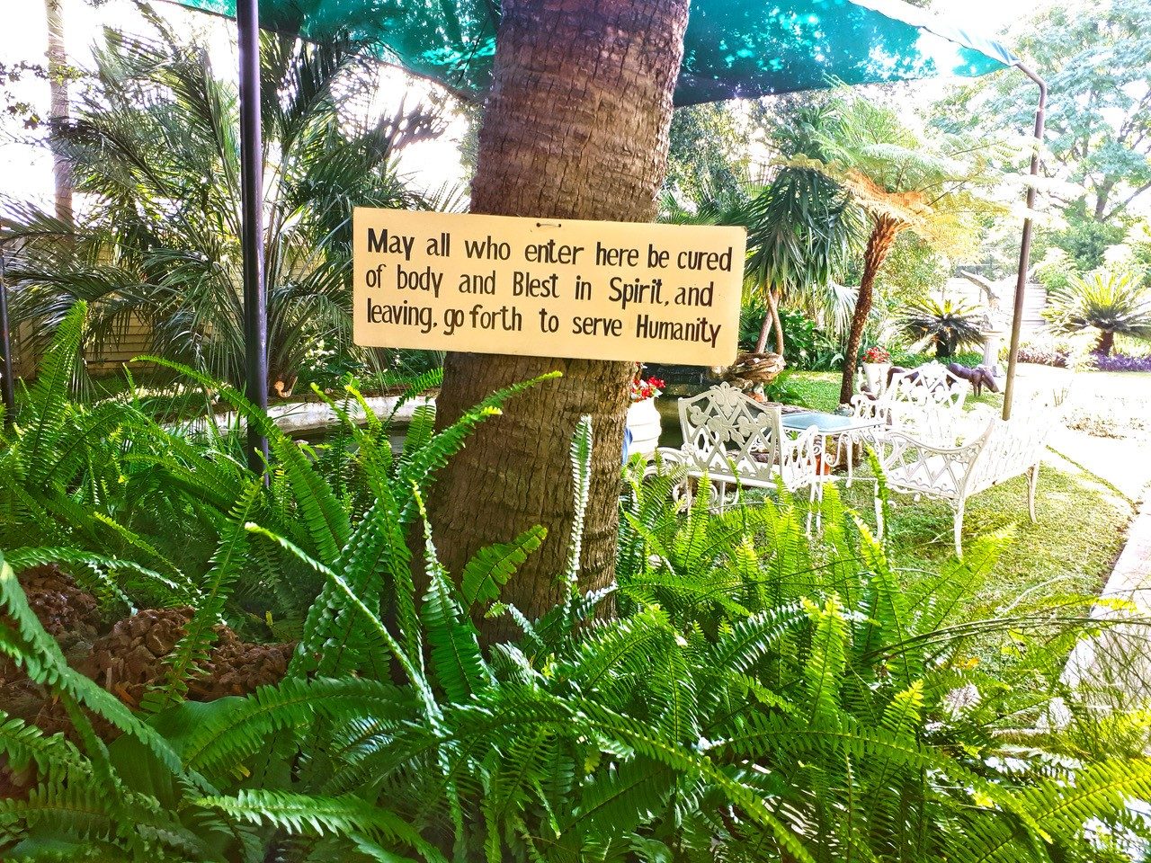 Healthy You