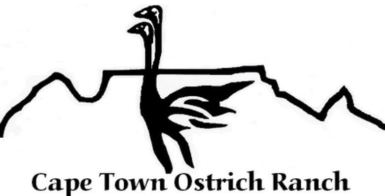 Cape Town Ostrich Ranch