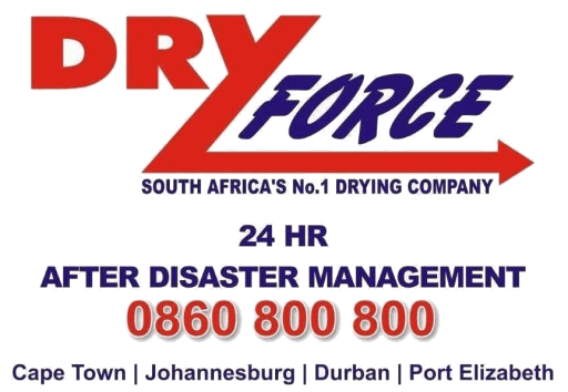 DRY FORCE