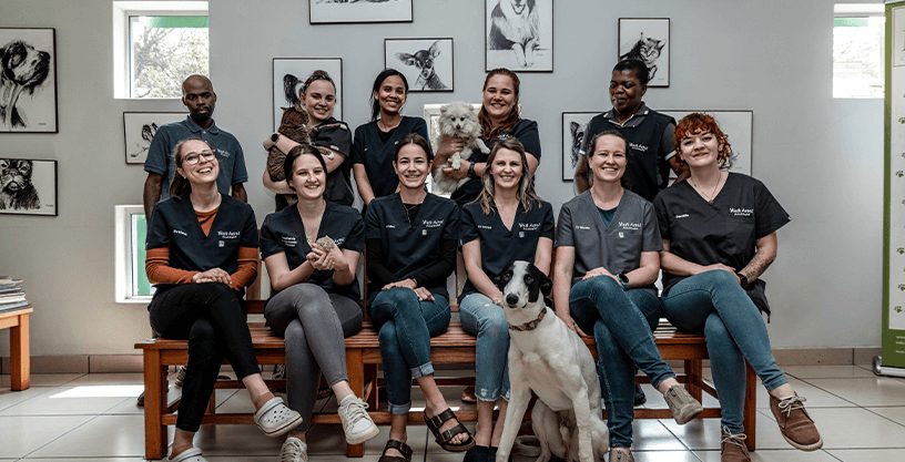 West Acres Animal Hospital