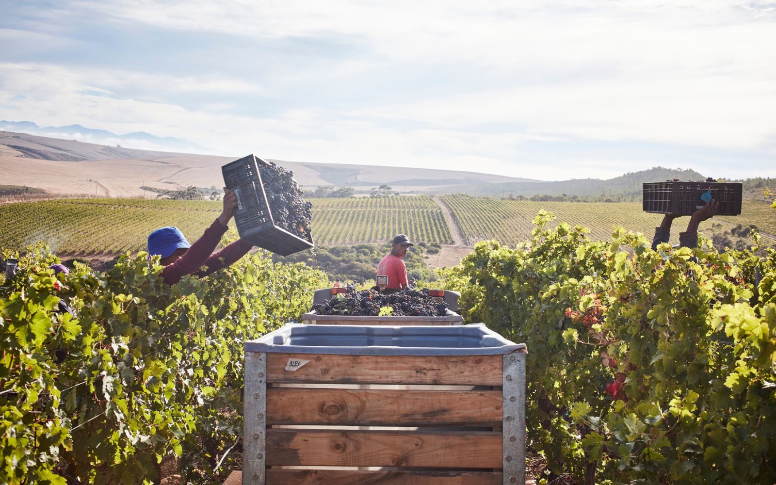 Gabrielskloof Wine Estate