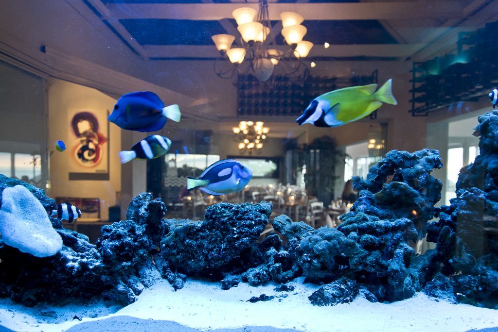 RESTAURANT CODFATHER SEAFOOD & SUSHI