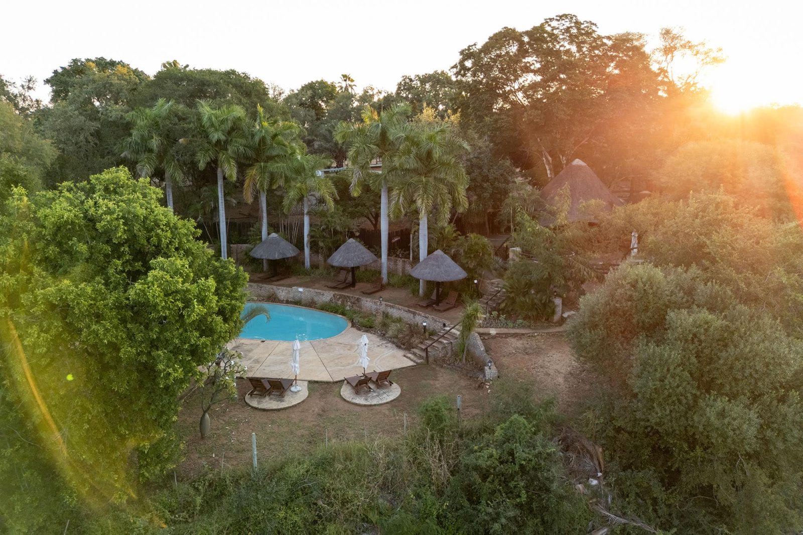 Leopard Sighting at Chisomo Safari Camp