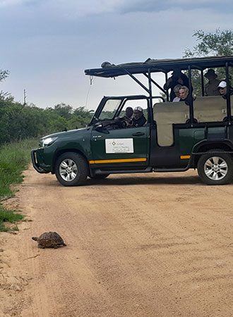 Eastgate Safaris & Transfers