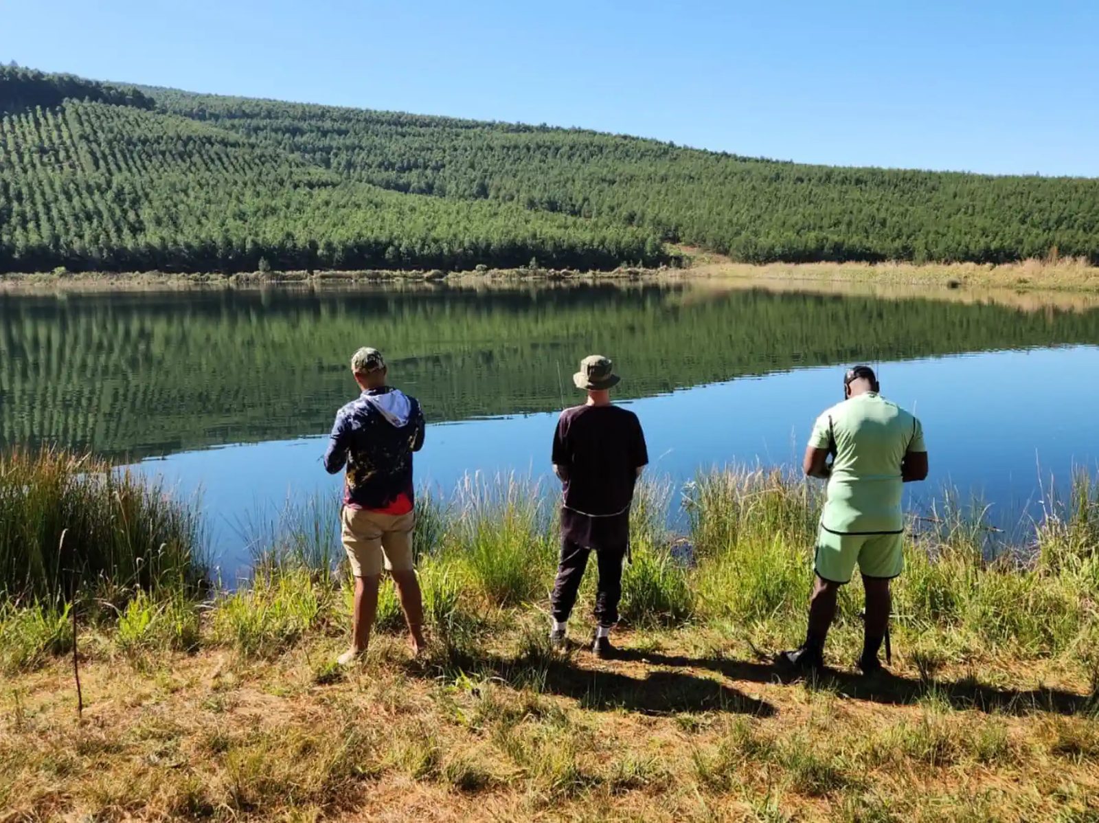 Harmony Retreat - Greytown