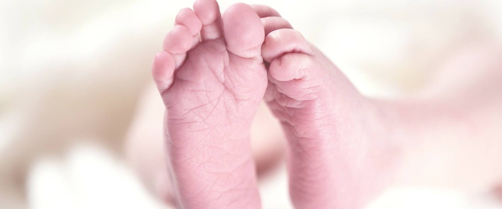 STEPHEN PRINCE - PODIATRIST / CHIROPODIST