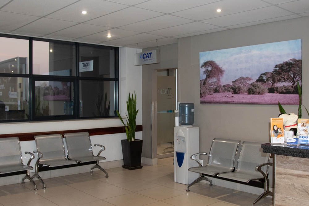 BRYANSTON VETERINARY HOSPITAL
