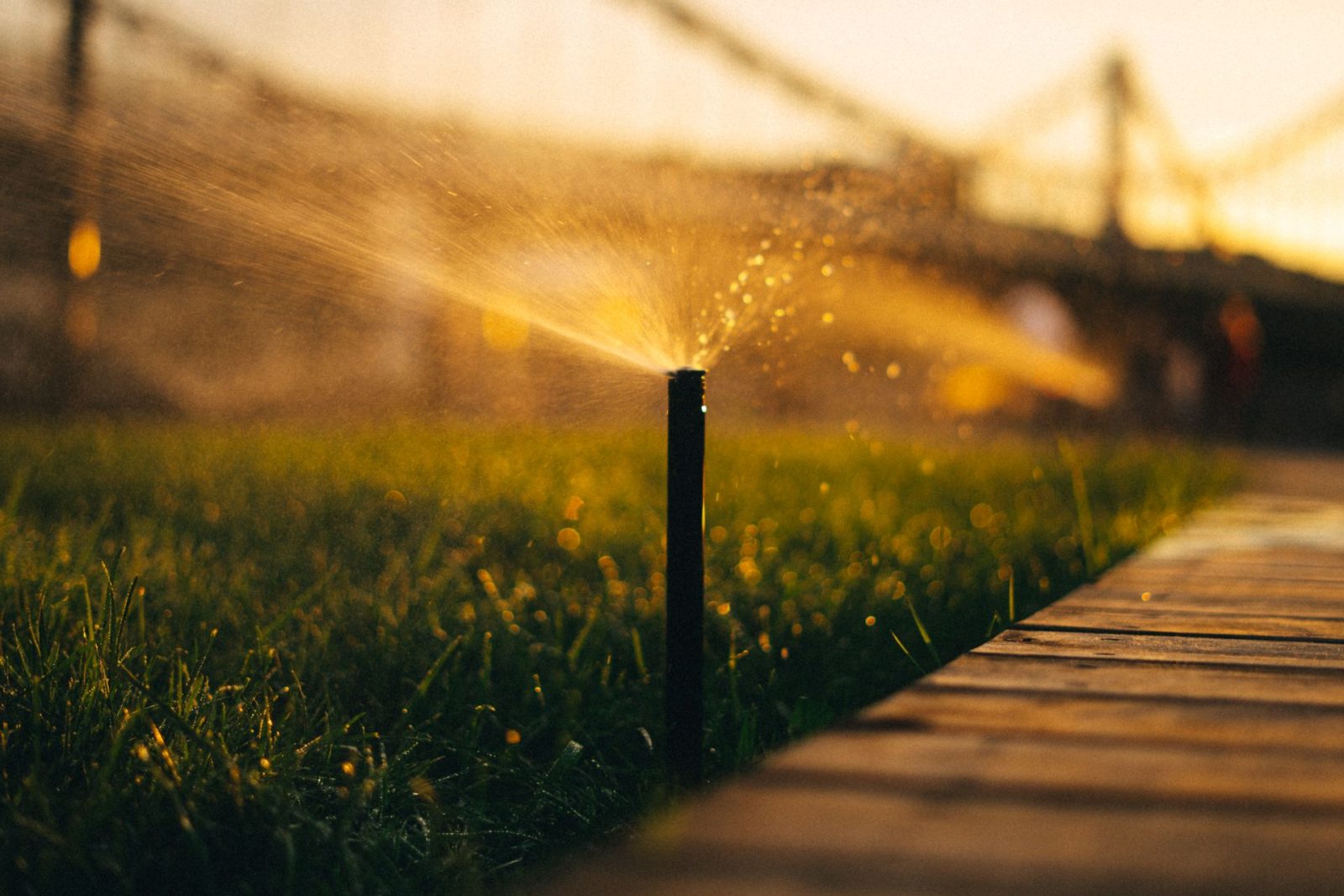 Evergreen Irrigation