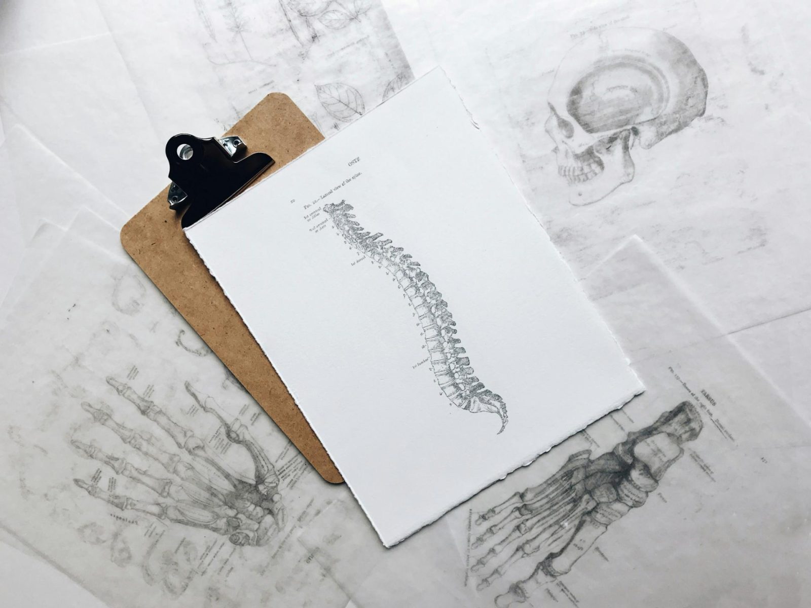 Lifestyle Chiropractic
