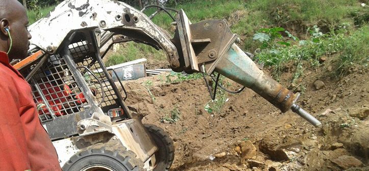 Executive Plant Hire