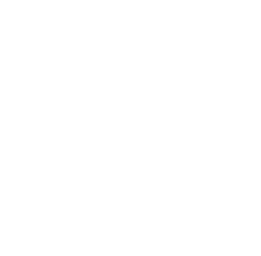Audit BEE Inc