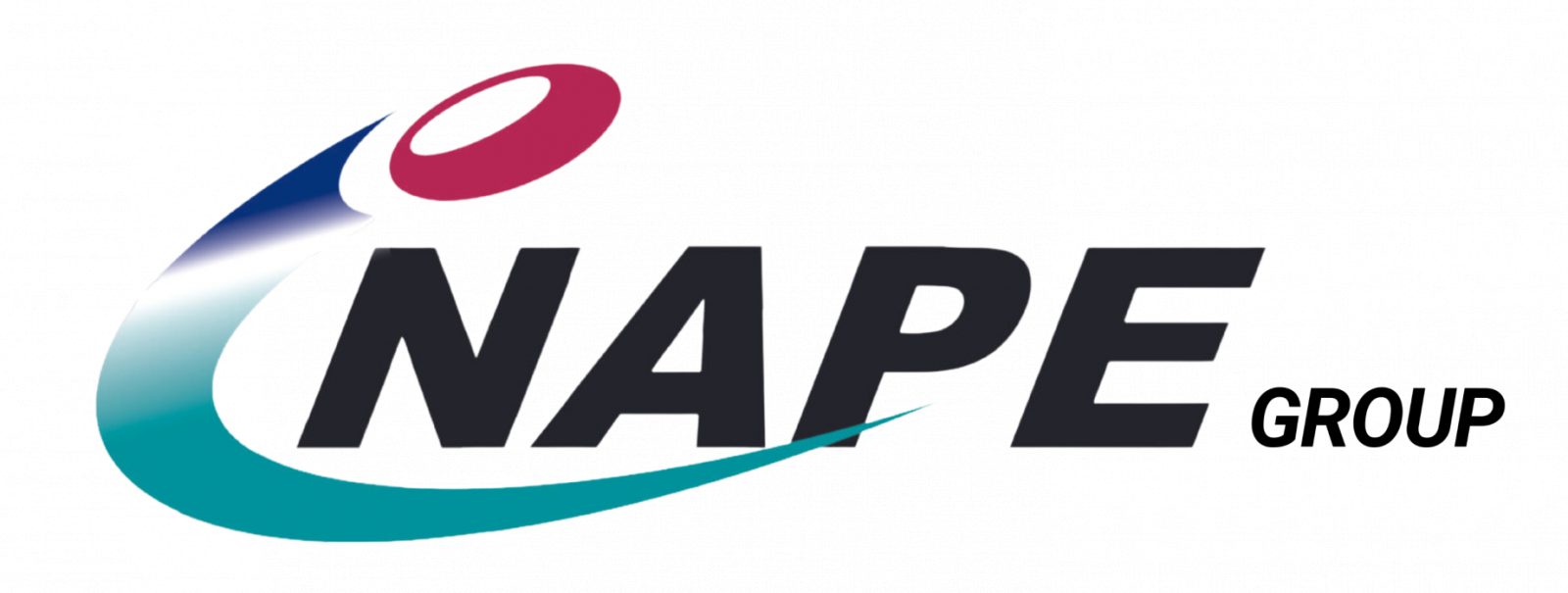 NAPE LABOUR & SPORTS LAW PRACTITIONERS