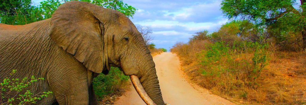 Mpumalanga Tourism & Parks Agency