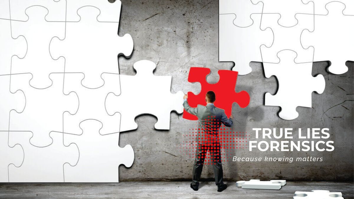 True Lies Investigative Solutions