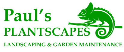 Pauls Plantscapes Landscaping & Garden Maintenance