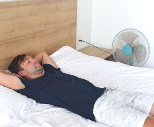 Bed King