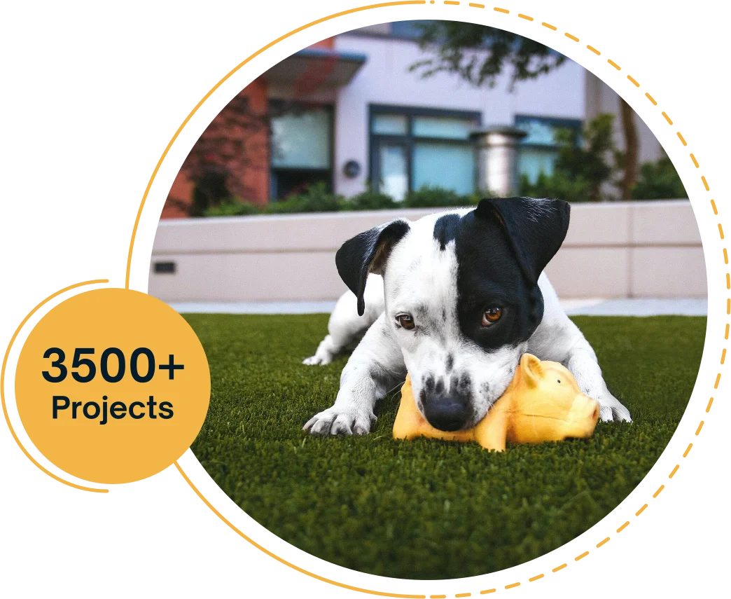 Lushes Lawn Artificial Grass