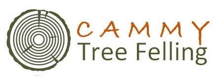 Cammy Tree Felling