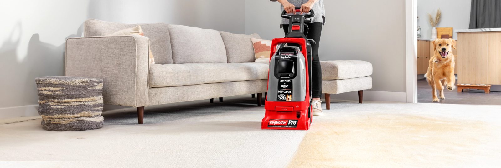 Rug Doctor