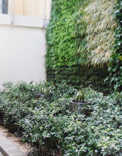 Vertical Plantscapes