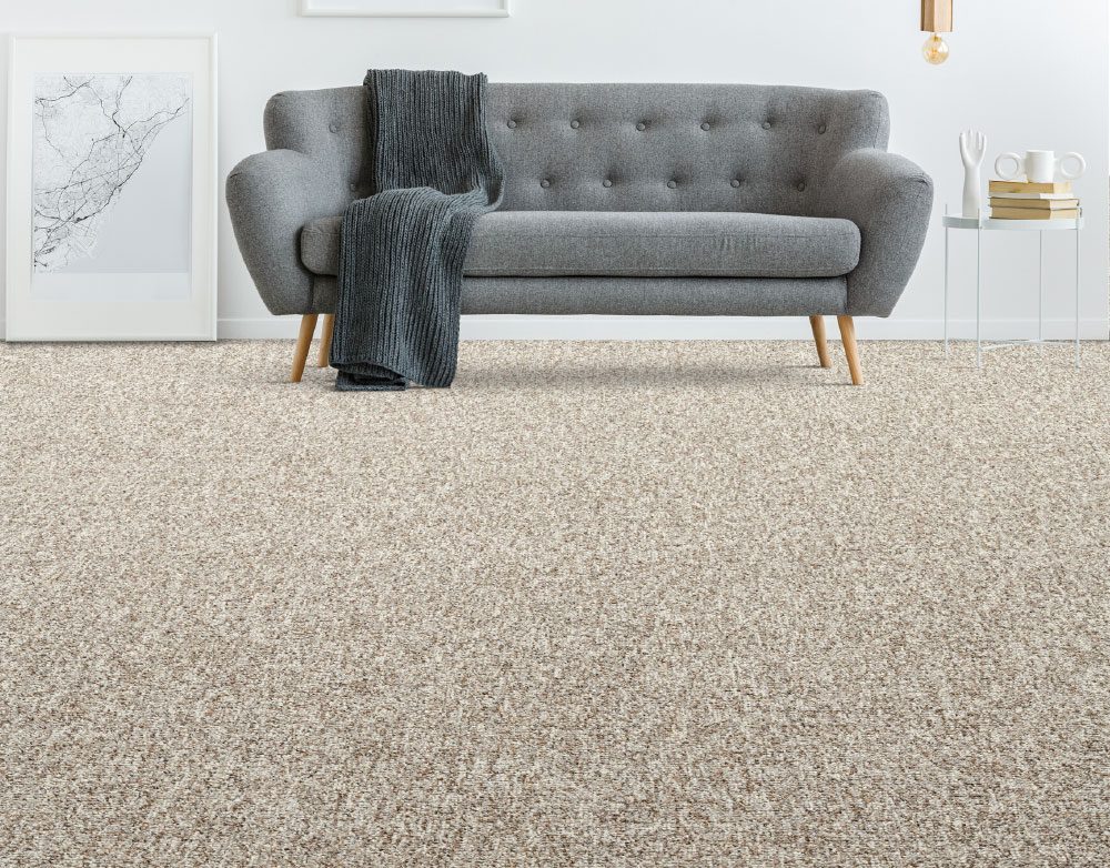 CARPET & DECOR CENTRE - HEAD OFFICE