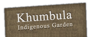 Kumbula Indigenous Nursery