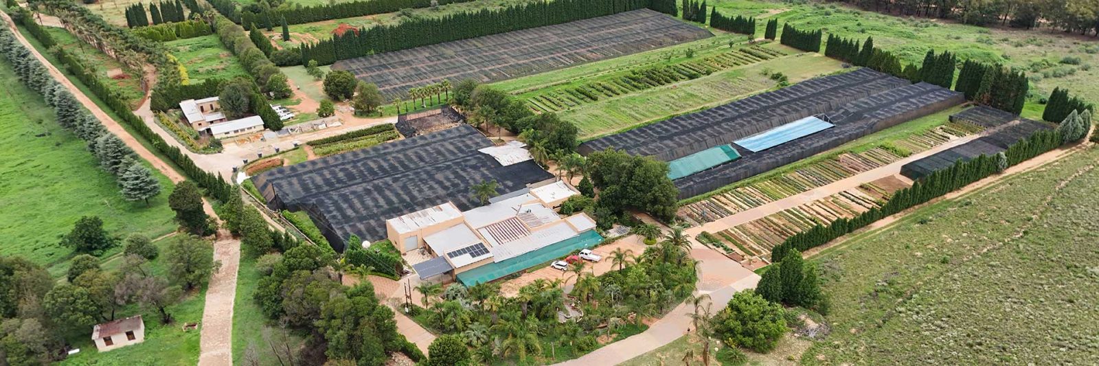 Plantworld (Pty) Ltd