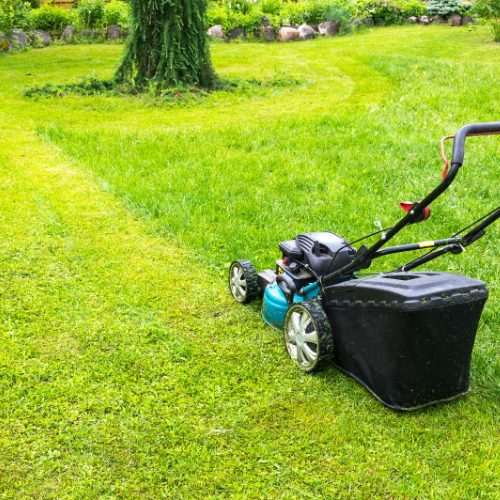 SGS & Maintenance Services