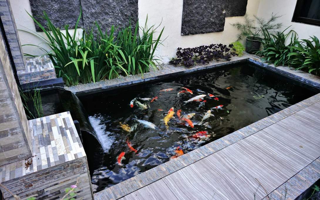 Super Pumps: Fish Ponds, Pond Pumps & Pond Filters