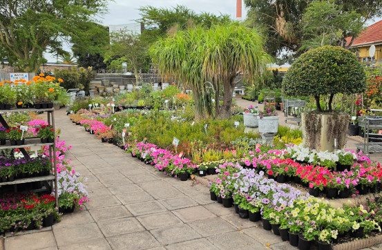 Hart Nursery
