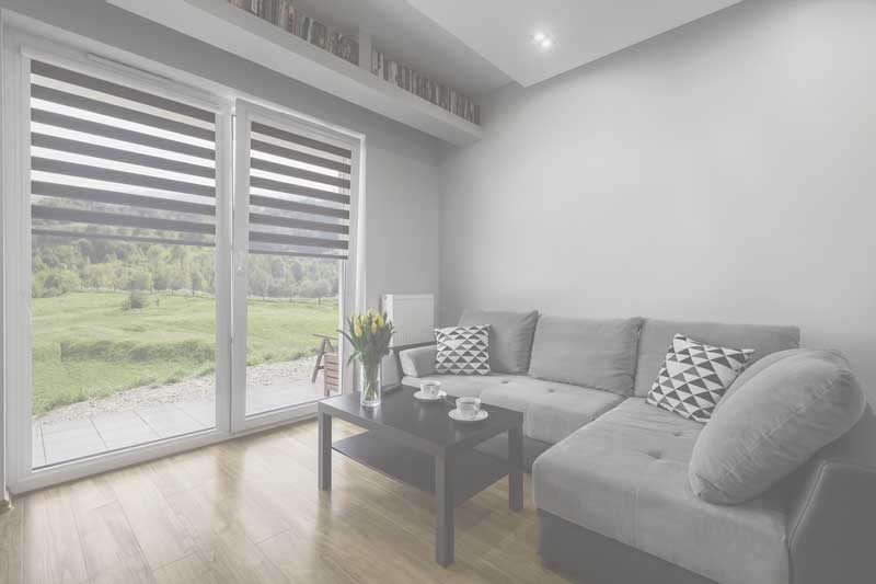 Viz Blinds