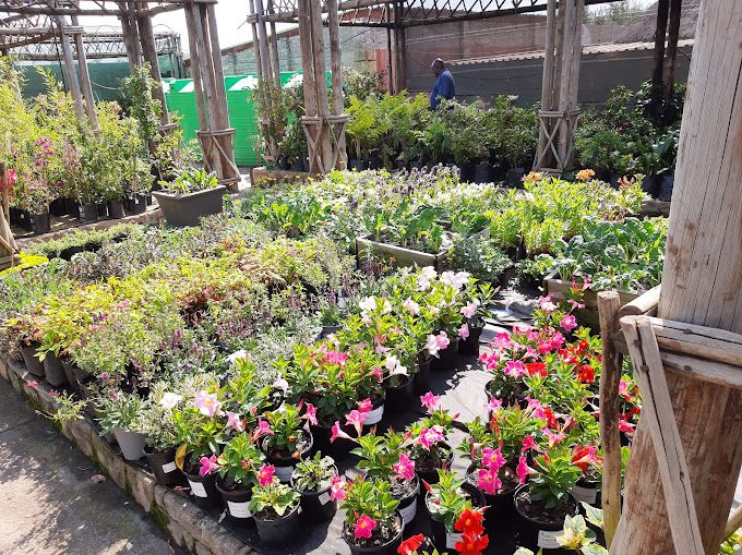 Goodies For Gardens