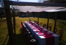 COLOUR ME GREEN FUNCTION DECOR