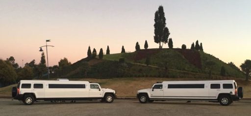 Limo Party Bus Jhb