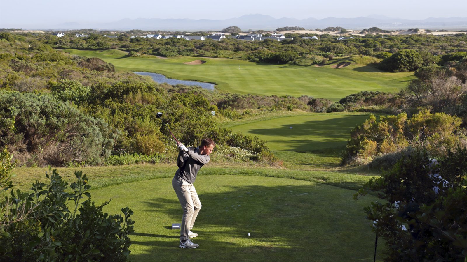 St. Francis Links