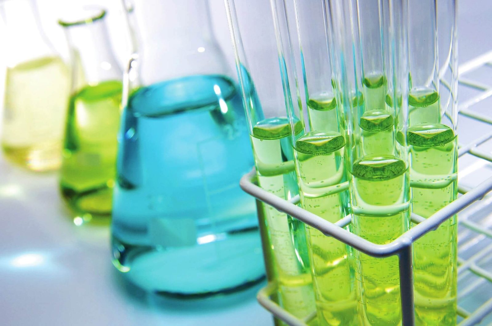 Food & Allergy Consulting & Testing Services
